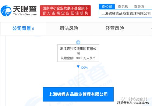吉利控股拓展業(yè)務(wù)版圖 錦鯉吉品管理公司成立，聚焦互聯(lián)網(wǎng)銷售新機(jī)遇
